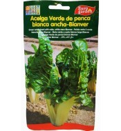 Semilla de Acelga Verde de...