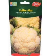 Semilla de Coliflor Alba