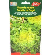 copy of SEMILLA GIRASOL...