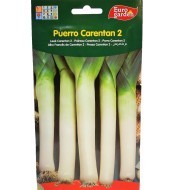 Semilla de Puerro Carentan