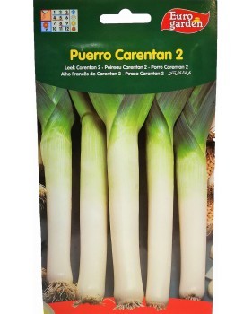 Semilla de Puerro Carentan