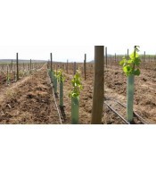 Protector arbol 60 cm. Pack...