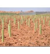 copy of Protector arbol 60...