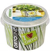 Kit plantacion semillas Menta