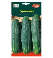 Pepino Asley