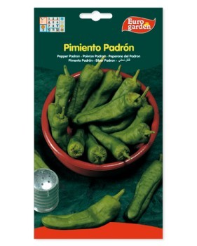 Pimiento Padrón