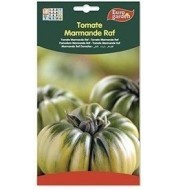 Tomate Marmande Raf