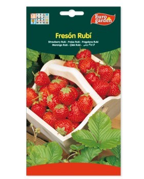 Fresón Rubí