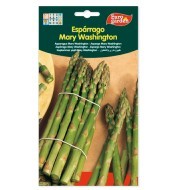 Espárragos Mary Washington