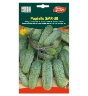 Pepinillo SMR-58