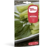 BORRAJA MOVERA Variedad de...