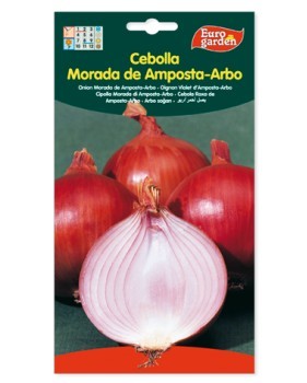 Cebolla morada de Amposta-Arbo
