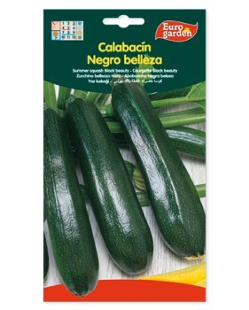 Calabacín negro belleza