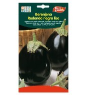 Berenjena Redonda Negra...