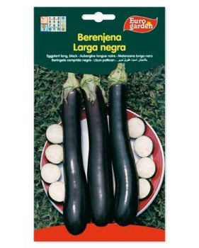 Berenjena Larga Negra