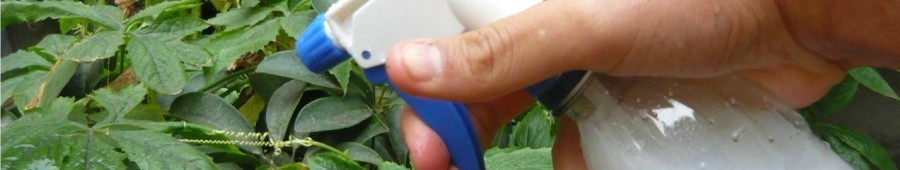 abono foliar para hoja tramiento crecimiento maduracion fumigar