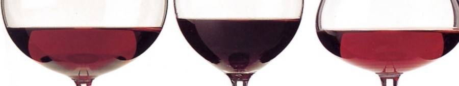 acido citrico tartarico malico elaboracion conservante antioxidante